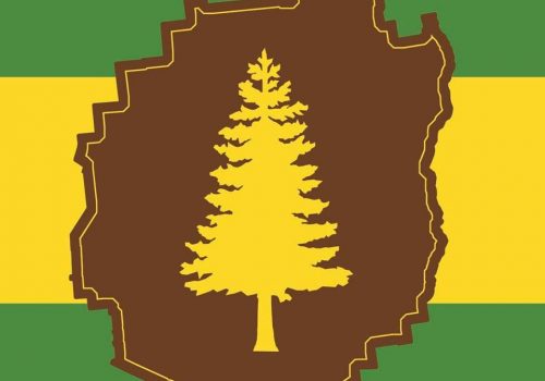 The Adirondack Flag